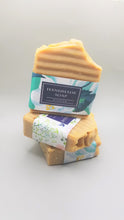 Load image into Gallery viewer, Shikakai Ayurvedic Handmade Soap (2 Soaps)