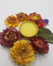 Load image into Gallery viewer, Vegan Salve