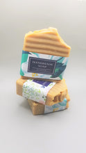 Load image into Gallery viewer, Shikakai Ayurvedic Handmade Soap (2 Soaps)
